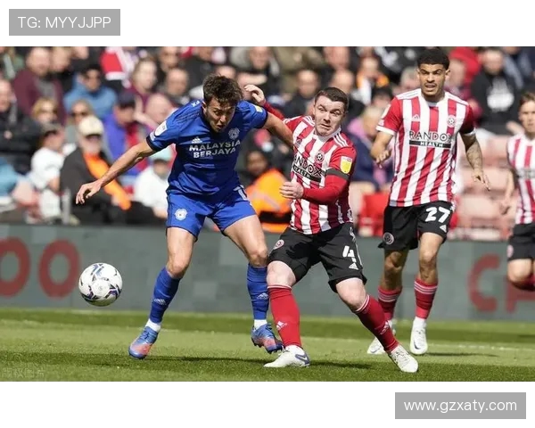 杭州足球队在城市联赛中的团队协作表现分析与点评